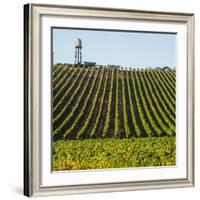 USA California. Pacific Coast Highway, PCH, crops and water tower-Alison Jones-Framed Photographic Print