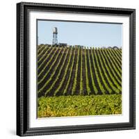 USA California. Pacific Coast Highway, PCH, crops and water tower-Alison Jones-Framed Photographic Print