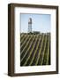 USA California. Pacific Coast Highway, PCH, crops and water tower-Alison Jones-Framed Photographic Print