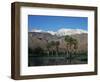 USA, California, Palm Springs, Reflection of San Jacinto Range in Lake-Zandria Muench Beraldo-Framed Photographic Print