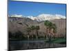 USA, California, Palm Springs, Reflection of San Jacinto Range in Lake-Zandria Muench Beraldo-Mounted Photographic Print