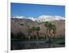 USA, California, Palm Springs, Reflection of San Jacinto Range in Lake-Zandria Muench Beraldo-Framed Photographic Print