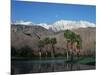 USA, California, Palm Springs, Reflection of San Jacinto Range in Lake-Zandria Muench Beraldo-Mounted Photographic Print