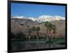 USA, California, Palm Springs, Reflection of San Jacinto Range in Lake-Zandria Muench Beraldo-Framed Photographic Print