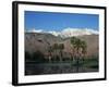 USA, California, Palm Springs, Reflection of San Jacinto Range in Lake-Zandria Muench Beraldo-Framed Photographic Print