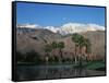 USA, California, Palm Springs, Reflection of San Jacinto Range in Lake-Zandria Muench Beraldo-Framed Stretched Canvas