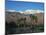 USA, California, Palm Springs, Reflection of San Jacinto Range in Lake-Zandria Muench Beraldo-Mounted Photographic Print