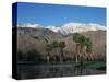 USA, California, Palm Springs, Reflection of San Jacinto Range in Lake-Zandria Muench Beraldo-Stretched Canvas