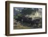 USA, California, Parkfield, V6 Ranch herd of black cows kicking up dust-Ellen Clark-Framed Photographic Print