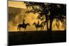 USA, California, Parkfield, V6 Ranch silhouette of two riders on horseback. Early dusty morning.-Ellen Clark-Mounted Photographic Print