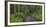 USA, California. Path among redwoods in Muir Woods National Monument.-Anna Miller-Framed Photographic Print