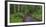 USA, California. Path among redwoods in Muir Woods National Monument.-Anna Miller-Framed Photographic Print