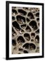 USA, California. Pebbles Collected in Rock Cavities-Jaynes Gallery-Framed Premium Photographic Print