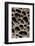 USA, California. Pebbles Collected in Rock Cavities-Jaynes Gallery-Framed Photographic Print