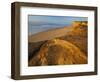 USA, California, Pescadero State Beach Park-Charles Gurche-Framed Photographic Print