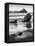 USA, California, Pfeiffer Beach-John Ford-Framed Stretched Canvas
