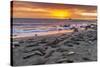 USA, California, Piedras Blancas. Elephant Seals on Beach at Sunset-Jaynes Gallery-Stretched Canvas