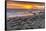 USA, California, Piedras Blancas. Elephant Seals on Beach at Sunset-Jaynes Gallery-Framed Stretched Canvas