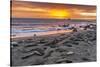 USA, California, Piedras Blancas. Elephant Seals on Beach at Sunset-Jaynes Gallery-Stretched Canvas