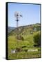 USA, California, Pinnacle National Park, Old Windmill-Alison Jones-Framed Stretched Canvas