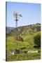 USA, California, Pinnacle National Park, Old Windmill-Alison Jones-Stretched Canvas