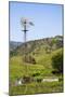 USA, California, Pinnacle National Park, Old Windmill-Alison Jones-Mounted Photographic Print