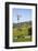 USA, California, Pinnacle National Park, Old Windmill-Alison Jones-Framed Photographic Print