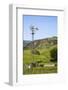 USA, California, Pinnacle National Park, Old Windmill-Alison Jones-Framed Photographic Print