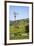 USA, California, Pinnacle National Park, Old Windmill-Alison Jones-Framed Premium Photographic Print