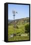 USA, California, Pinnacle National Park, Old Windmill-Alison Jones-Framed Stretched Canvas