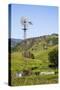 USA, California, Pinnacle National Park, Old Windmill-Alison Jones-Stretched Canvas