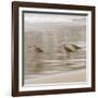 USA, California, Pismo Beach. Whimbrels parading in early morning fog during low tide.-Trish Drury-Framed Photographic Print