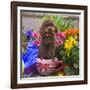 USA, California. Poodle standing in a coffee cup with flowers.-Zandria Muench Beraldo-Framed Photographic Print