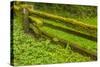 USA, California, Redwoods National Park. Moss-Covered Fence-Cathy & Gordon Illg-Stretched Canvas