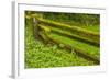 USA, California, Redwoods National Park. Moss-Covered Fence-Cathy & Gordon Illg-Framed Photographic Print