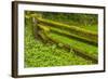 USA, California, Redwoods National Park. Moss-Covered Fence-Cathy & Gordon Illg-Framed Photographic Print