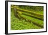 USA, California, Redwoods National Park. Moss-Covered Fence-Cathy & Gordon Illg-Framed Photographic Print