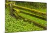 USA, California, Redwoods National Park. Moss-Covered Fence-Cathy & Gordon Illg-Mounted Photographic Print