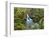 USA, California, Redwoods National Park. Stream flows through canopy and ferns onto Enderts Beach.-Yuri Choufour-Framed Photographic Print