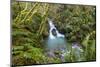 USA, California, Redwoods National Park. Stream flows through canopy and ferns onto Enderts Beach.-Yuri Choufour-Mounted Photographic Print