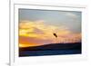 USA, California, Rio Vista, Sacramento River Delta. Kiteboarder catching air at sunset.-Merrill Images-Framed Photographic Print