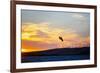 USA, California, Rio Vista, Sacramento River Delta. Kiteboarder catching air at sunset.-Merrill Images-Framed Photographic Print