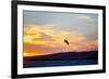 USA, California, Rio Vista, Sacramento River Delta. Kiteboarder catching air at sunset.-Merrill Images-Framed Photographic Print