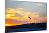 USA, California, Rio Vista, Sacramento River Delta. Kiteboarder catching air at sunset.-Merrill Images-Mounted Photographic Print