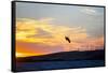 USA, California, Rio Vista, Sacramento River Delta. Kiteboarder catching air at sunset.-Merrill Images-Framed Stretched Canvas