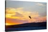 USA, California, Rio Vista, Sacramento River Delta. Kiteboarder catching air at sunset.-Merrill Images-Stretched Canvas