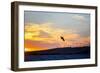 USA, California, Rio Vista, Sacramento River Delta. Kiteboarder catching air at sunset.-Merrill Images-Framed Photographic Print