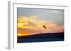 USA, California, Rio Vista, Sacramento River Delta. Kiteboarder catching air at sunset.-Merrill Images-Framed Photographic Print