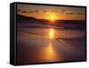 USA, California, San Diego, a Beach in La Jolla on the Pacific Ocean-Jaynes Gallery-Framed Stretched Canvas