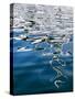 USA, California, San Diego, Abstract boat reflection in America's Cup Harbor-Ann Collins-Stretched Canvas